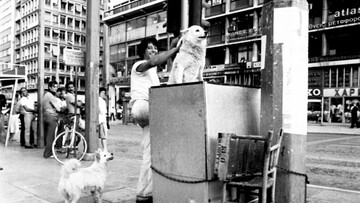 Σούζυ και Ζέππος