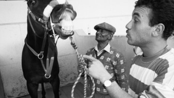 Στην παλιά γειτονιά των Αιγυπτίων ιπποκόμων