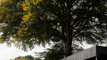 Ένα σπίτι από μαύρο ξύλο στις όχθες μια λίμνης στα σύνορα Δανίας-Γερμανίας
