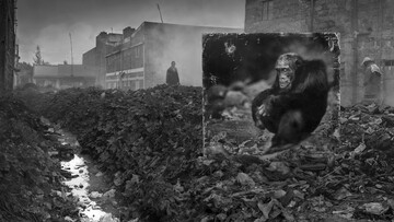 "Κληρονομώντας τη σκόνη", από τον φωτογράφο Nick Brandt