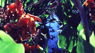 Άνοιξη στο χαμένο ποτάμι.