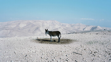 "Χωρίς κατευθύνσεις στη Μέση Ανατολή".