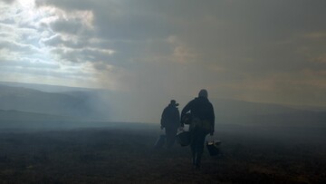 God's Own Country 2017