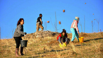 Τελαίθριον. Μία οικο-ουτοπία