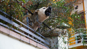 'Ασκοπη βόλτα Νο 2. Πειραιάς, Προφήτης Ηλίας.