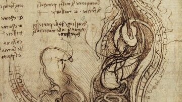 Λεονάρντο Ντα Βίντσι, Μελέτη συνουσίας, 1490