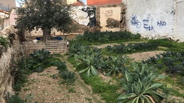 Όταν έδερνα τα μπρόκολα. Από τον Στάθη Τσαγκαρουσιάνο