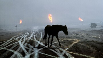 Steve McCurry, 1981