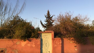 Συμφορά από την πολλή ανετίλα