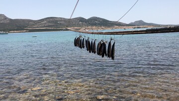 Αντίπαρος
