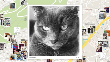 Η γάτα, ο χαφιές του σπιτιού σου