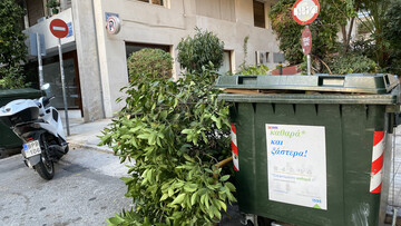 Σήμερα στα σκουπίδια της Αναγνωστοπούλου κάποιος πέταξε ένα δέντρο