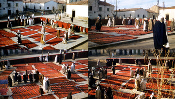 Η παλιά αγορά των χαλιών στο Aflou (Αλγερία).