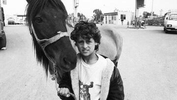 Ζωοπανήγυρη στο Ρέντη (1992)
