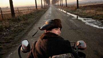 Tamas Dezso
