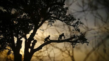 Η επικαιρότητα της εβδομάδας σε 20 δυνατές εικόνες