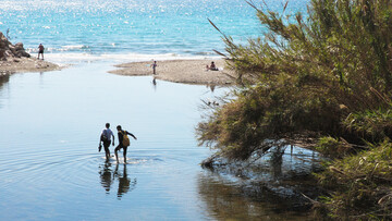 Το ρέμα της Πικροδάφνης