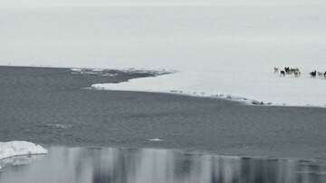 Πορτραίτα από την άκρη του κόσμου