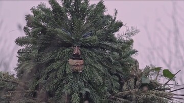 Our Mother: Surprise Machine