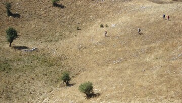 Στο Μπόζοβο ή Μακρύκαμπο. Tου Μιχάλη Μακρόπουλου.