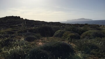 Μη μου τους κύκλους τάραττε...