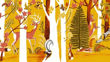 58