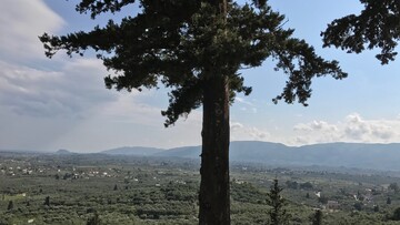 Σήμερα, στη Ζάκυνθο...