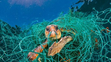 Όλοι μιλούν για το εξώφυλλο του National Geographic αλλά το πραγματικό σοκ είναι στις εικόνες μέσα