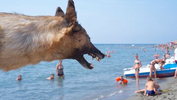 Τα Βαλκάνια Σήμερα. Το παρόν ενός πληγωμένου τοπίου.