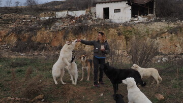 Η μαύρη πηγή της Αλεξίας