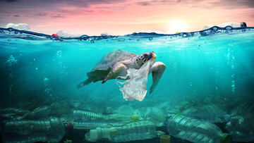 End plastic waste: Η adidas στέλνει ένα ηχηρό μήνυα για την πλαστική ρύπανση