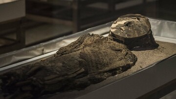 ΤΡΙΤΗ Η θανατηφόρα τοξίνη που βρέθηκε στις αρχαιότερες μούμιες του κόσμου/The deadly toxin found in the world's oldest mummies