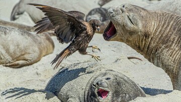 Οι νικητές του διαγωνισμού φωτογραφίας του Nature Conservancy 2022