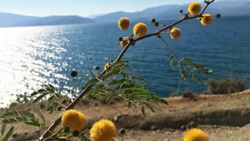 Αρβανιτιά - Καραθώνα και επιστροφή