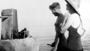 Η Σιωπηλή άνοιξη και ο απειλούμενος μικρόκοσμος των εντόμων