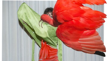 Viviane Sassen PHOSPHOR : Art & Fashion 1990-2023