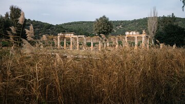 Βραυρώνα. Από τον Πάρι Ταβιτιάν