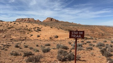 Arizona