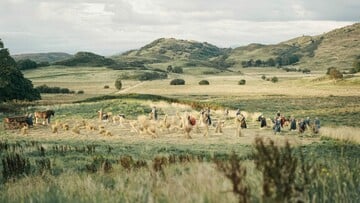 "Harvest', η νέα ταινία της Αθηνάς Ραχήλ Τσαγγάρη