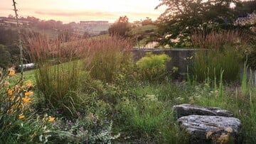 Ένας κήπος στο Hillside του Somerset που σφύζει από ζωή