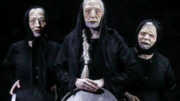Οι γριές που μαζεύουν την τσουκνίδα