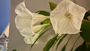 Ο χάρτης μου τώρα