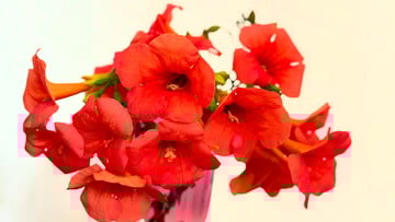 Εγώ τις νύχτες δεν τις ήξερα 