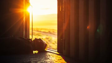 Τέχνη και πολιτική της λιποταξίας