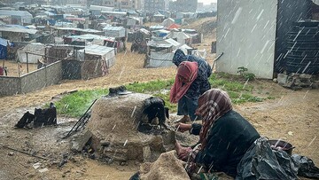 Ζώντας υπό τον νόμο της ζούγκλας