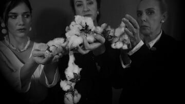 Στο Εκκοκκιστήριο