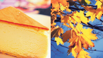 Φίλοι, βροχή και cheesecake