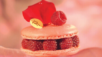 Macaron user