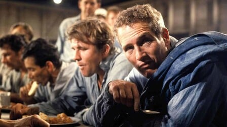 cool hand luke