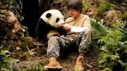 Moon the Panda